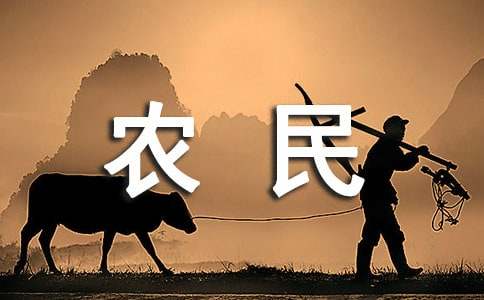 给农民伯伯的一封信(精选14篇)