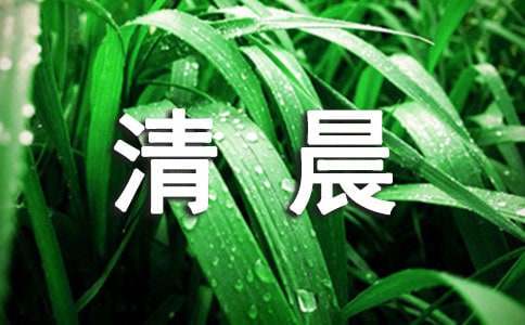 清晨200字作文