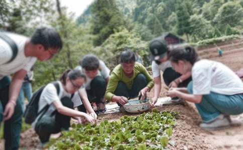 大学生三下乡实践心得体会