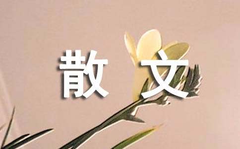 紫桐花如烟如梦散文