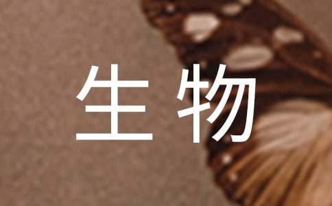 生物听课心得体会范文（通用13篇）