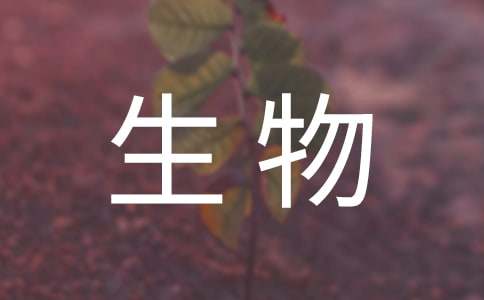 关于八年级上册生物教学计划