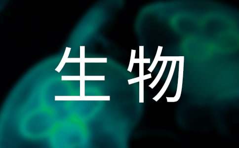 两段曝气生物滤池工艺在沈阳仙女河污水处理厂的应用