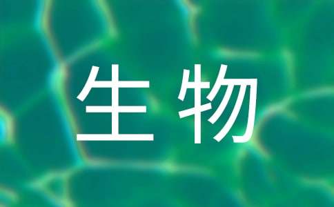 生物教学工作计划范文锦集六篇