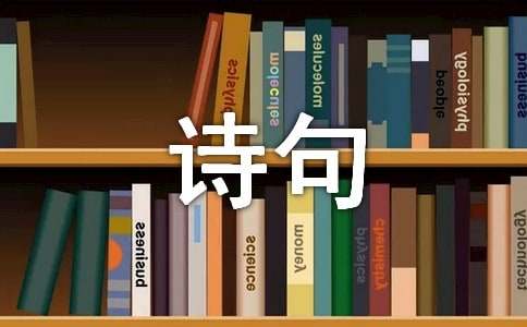 经典诗句名字