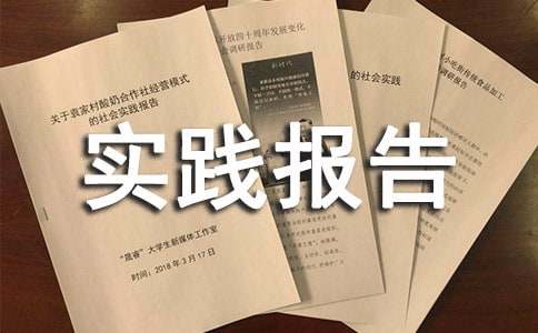 师范生暑假社会实践报告范文