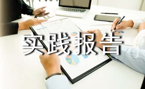 实用的社会实践报告9篇