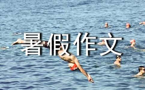 无趣的暑假作文400字