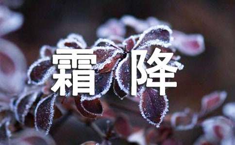 最新霜降节气朋友圈温暖祝福语（精选75句）