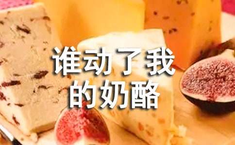 谁动了我的奶酪读后感集锦15篇