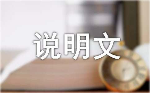 实用的说明文作文300字集合十篇