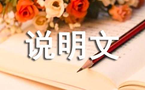 【精品】说明文作文300字集合十篇