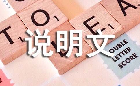 【热门】说明文作文300字汇总8篇