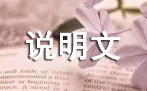 实用的说明文作文300字锦集六篇