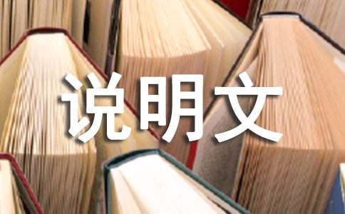 关于写说明文的作文300字汇编8篇