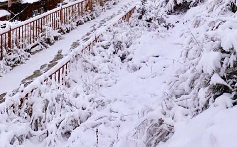 【精选】下雪日记集锦七篇