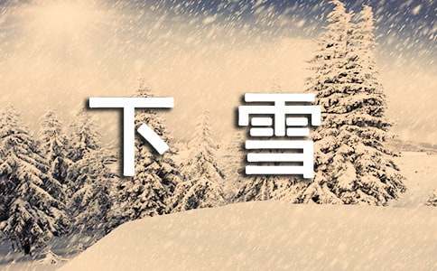 【热门】寒假下雪作文4篇