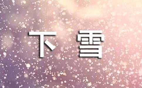 下雪了作文（通用32篇）