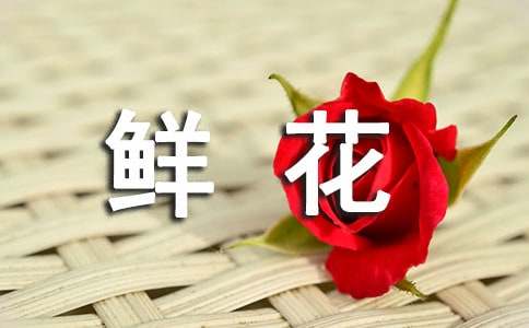 关于鲜花的记叙作文350字