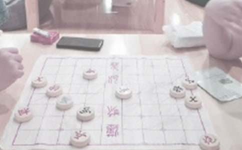 我学会了下象棋作文