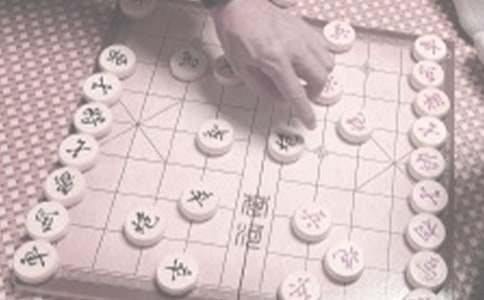 我爱下象棋的作文550字