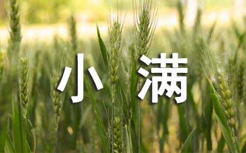 幼儿园节气小满活动教案（精选7篇）