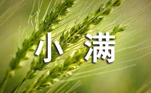 有关小满节气的日记（通用29篇）