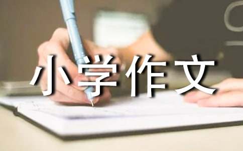 小学作文300字4篇（精）