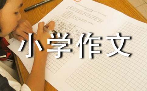 小学作文300字经典(4篇)