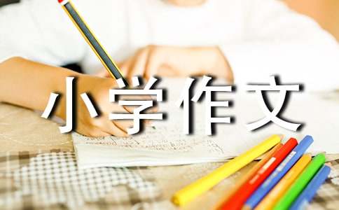 【优】小学作文300字3篇