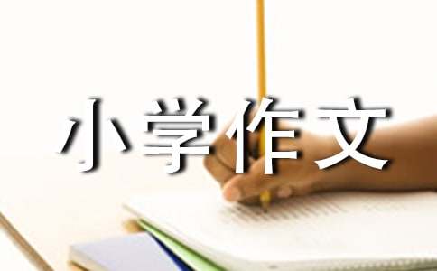 小学作文300字（优秀）