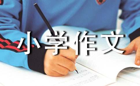 【推荐】夸夸小学作文300字4篇