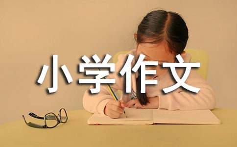 精选小学作文500字三篇