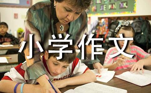 【精品】我的成长小学作文500字汇总五篇