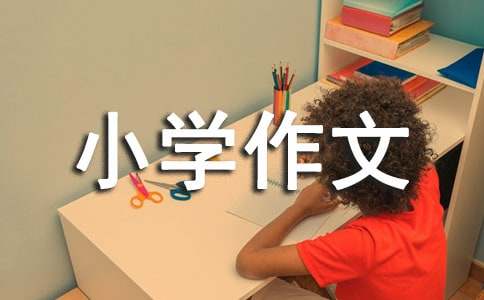 关于家教的`小学作文