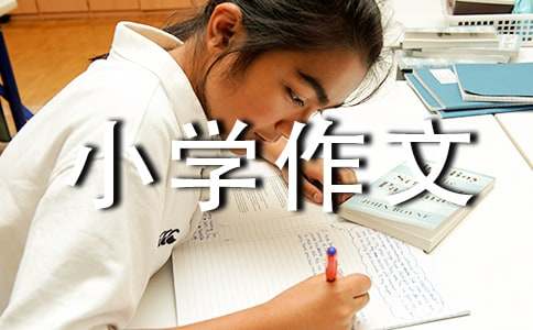 关于我的班级小学作文300字合集8篇