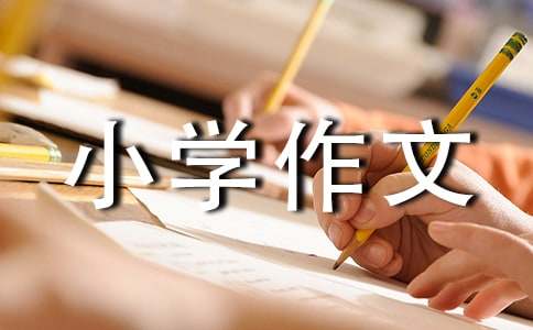 难忘的小学作文[优选3篇]