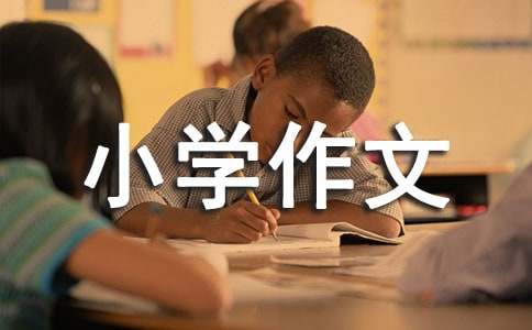 【实用】小学作文900字三篇