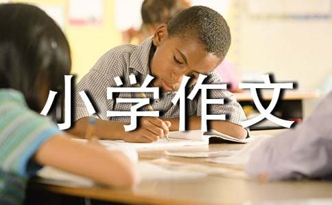 我的小伙伴小学作文400字