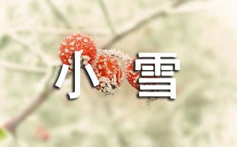 小雪主题班会教案