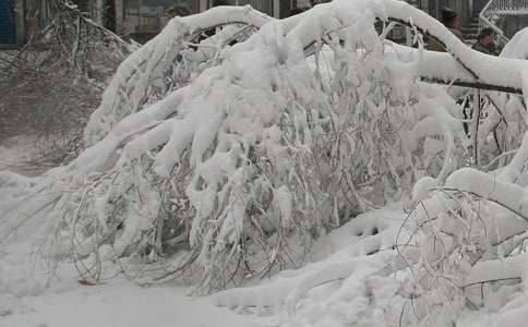 抗雪灾先进事迹