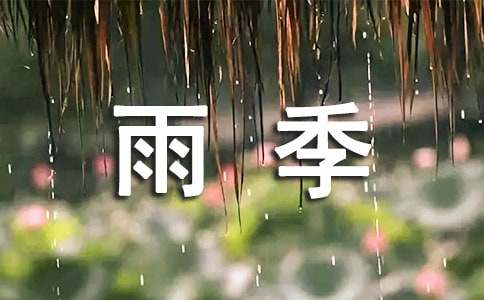 雨季伤感句子