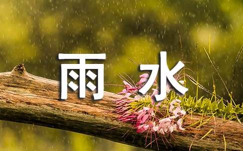 送给朋友雨水般的新年祝福