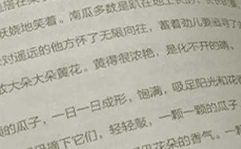 精选语文快乐作文300字三篇