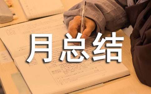 采购上月总结下月计划通用