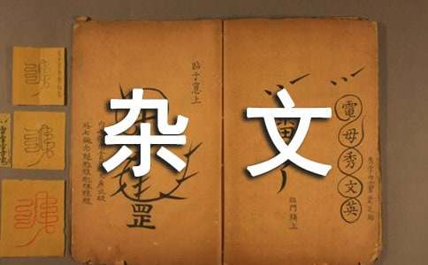 关乎岁月的杂文作文700字