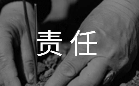 【精华】责任的作文汇编10篇