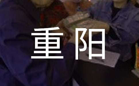 重阳登高优秀作文550字