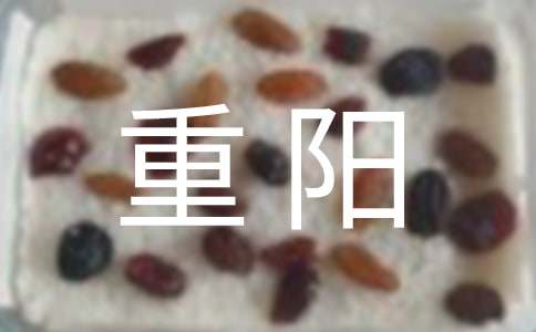 重阳佳节的活动方案（精选5篇）