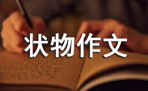 初中状物作文600字汇总五篇